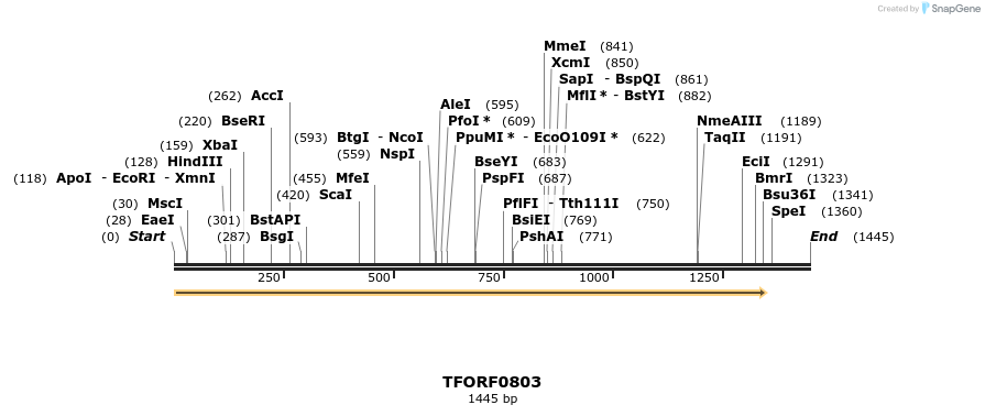 278819_map