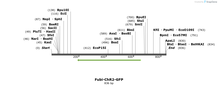 27882_map