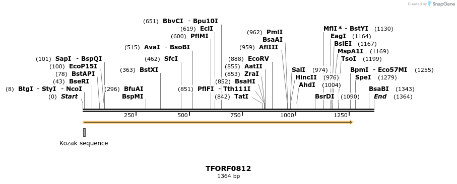 278822_map