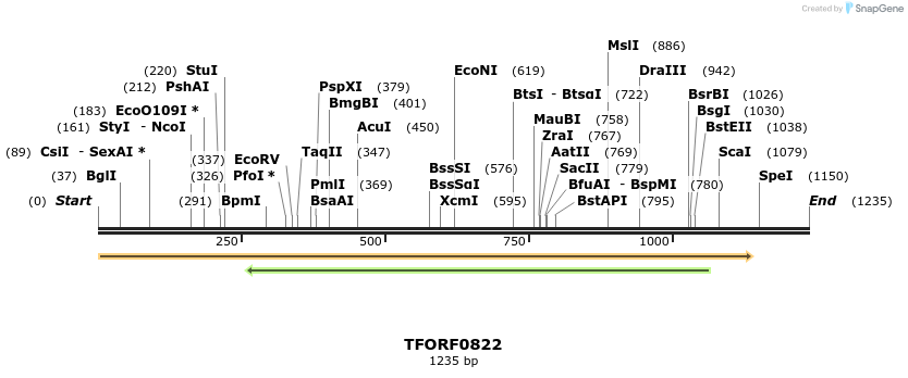 278828_map