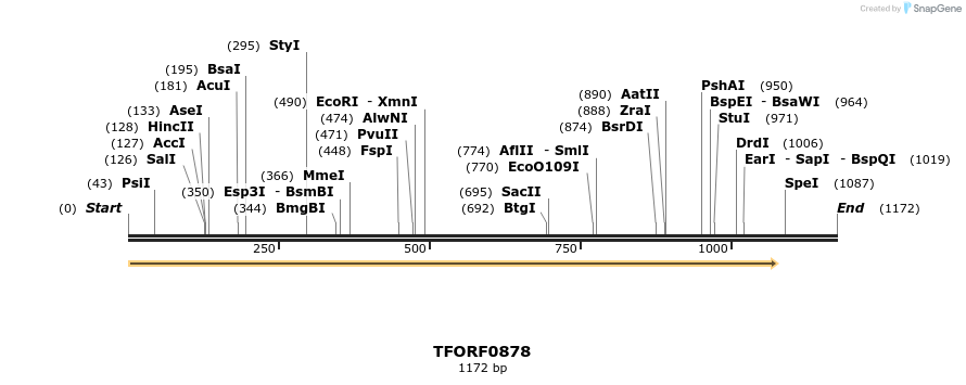 278831_map