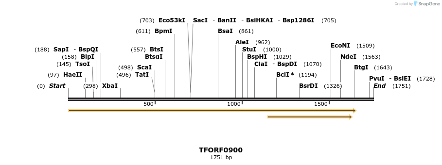 278834_map
