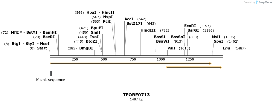 278837_map