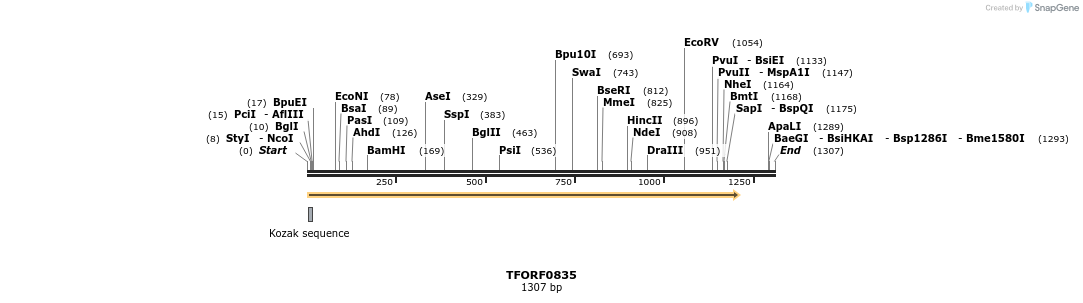 278843_map
