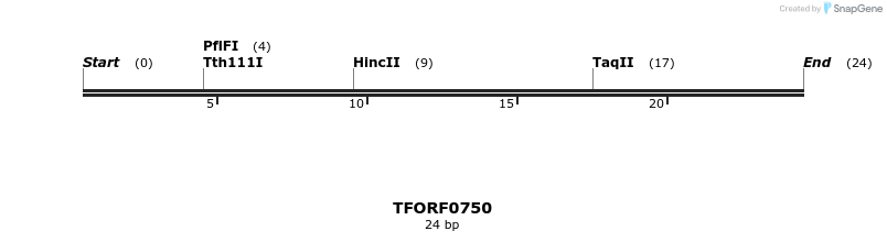 278847_map