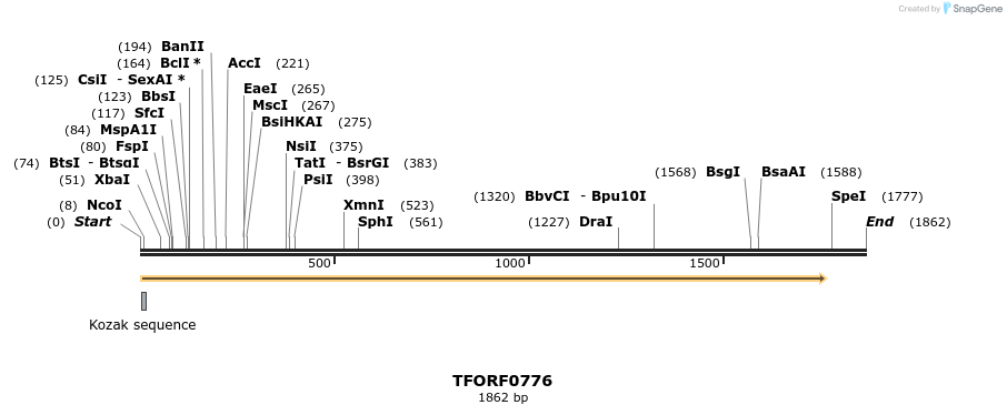278849_map