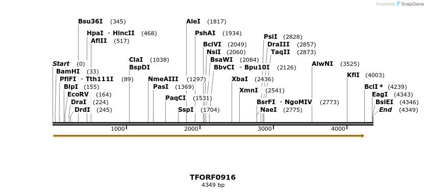 278852_map