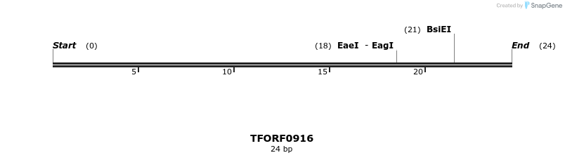 278853_map