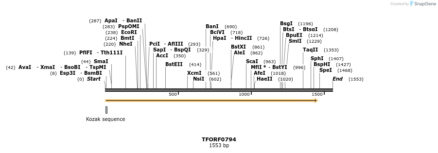 278855_map
