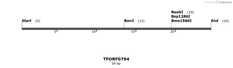 278856_map