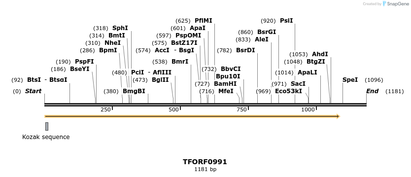 278858_map