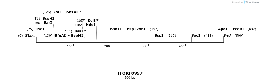278861_map
