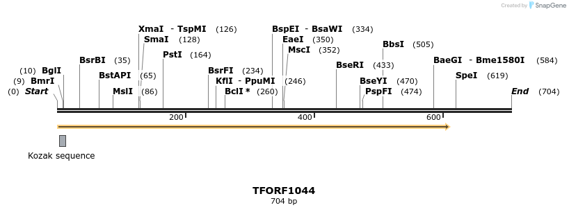 278864_map