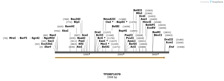 278867_map