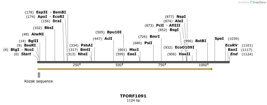 278870_map