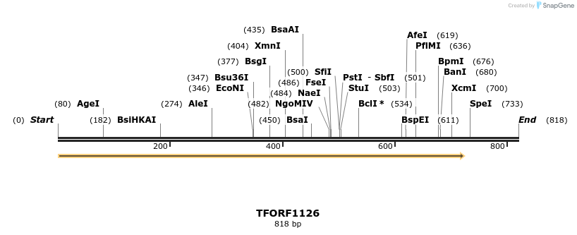 278873_map