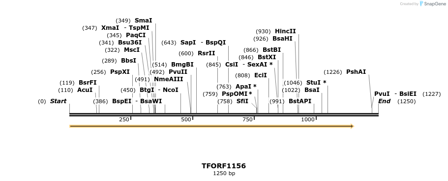 278876_map