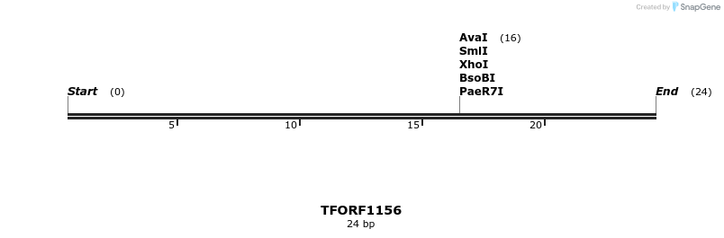 278877_map