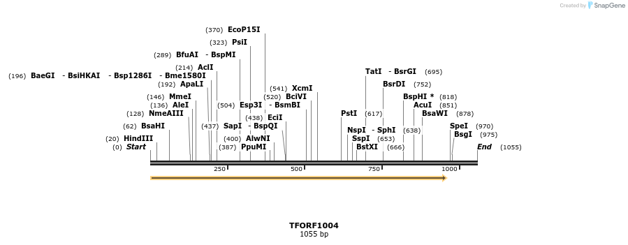 278882_map