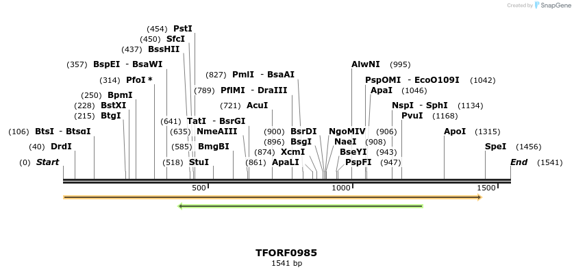 278885_map