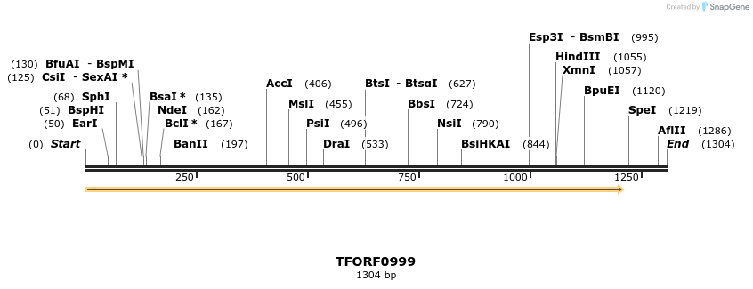 278888_map
