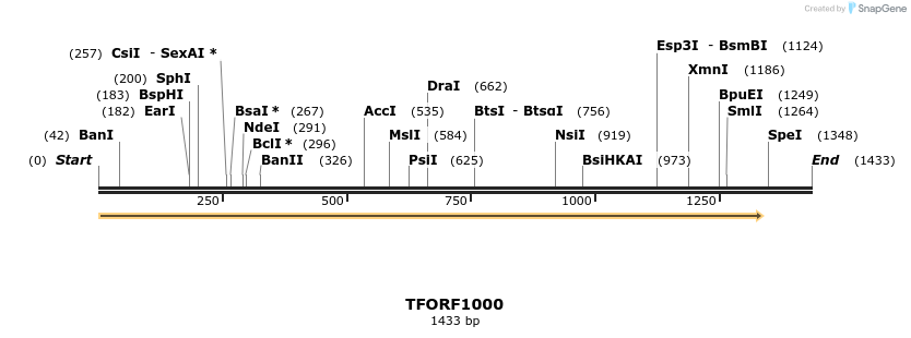 278891_map