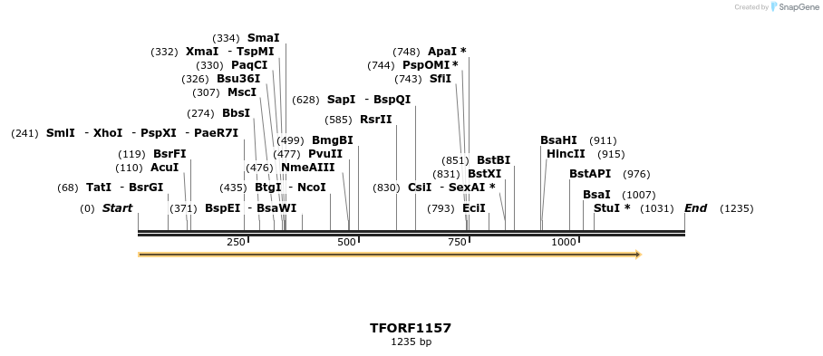 278894_map