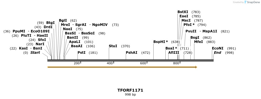 278897_map