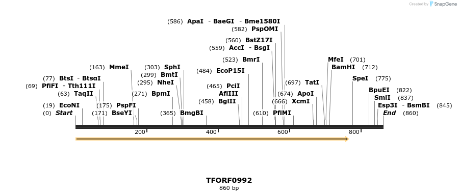278900_map