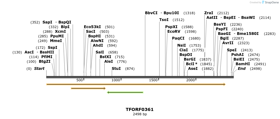 278903_map