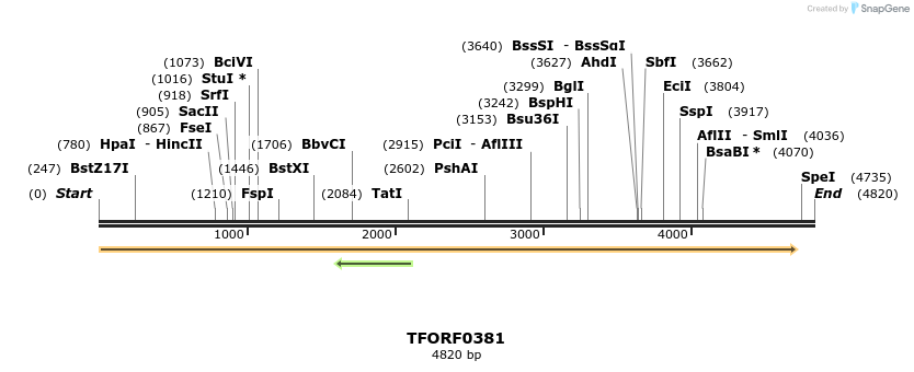 278906_map
