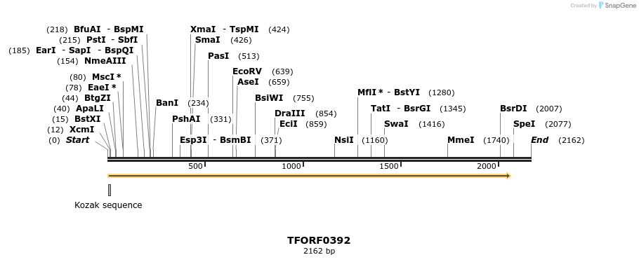 278912_map