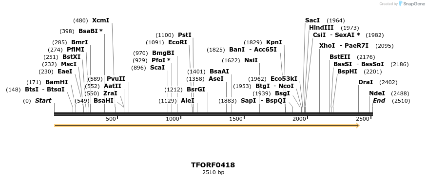 278915_map