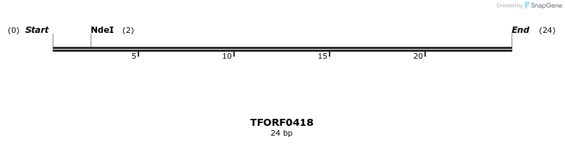 278916_map
