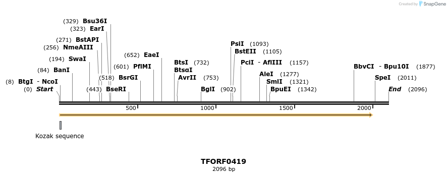 278918_map