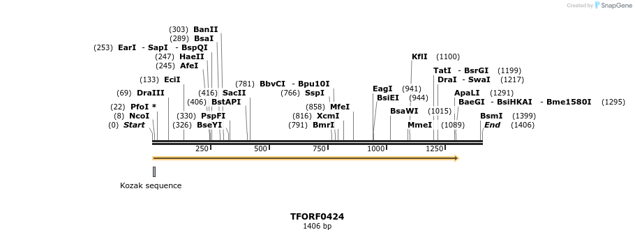 278924_map