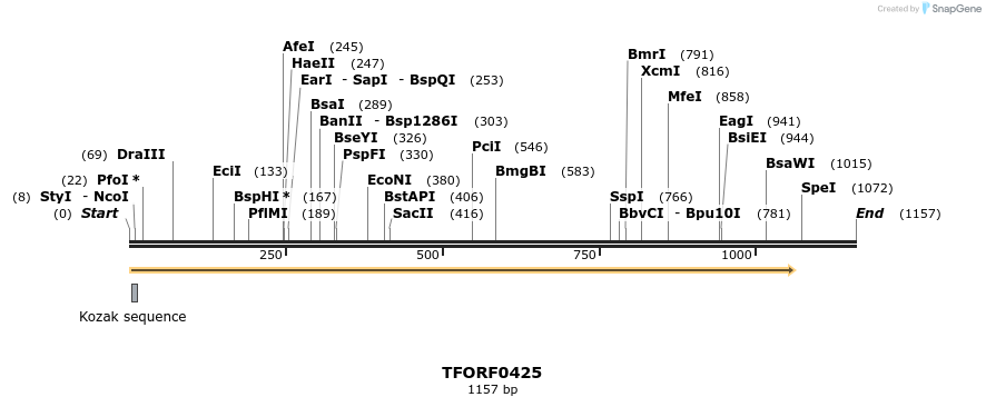 278927_map