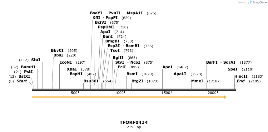 278933_map