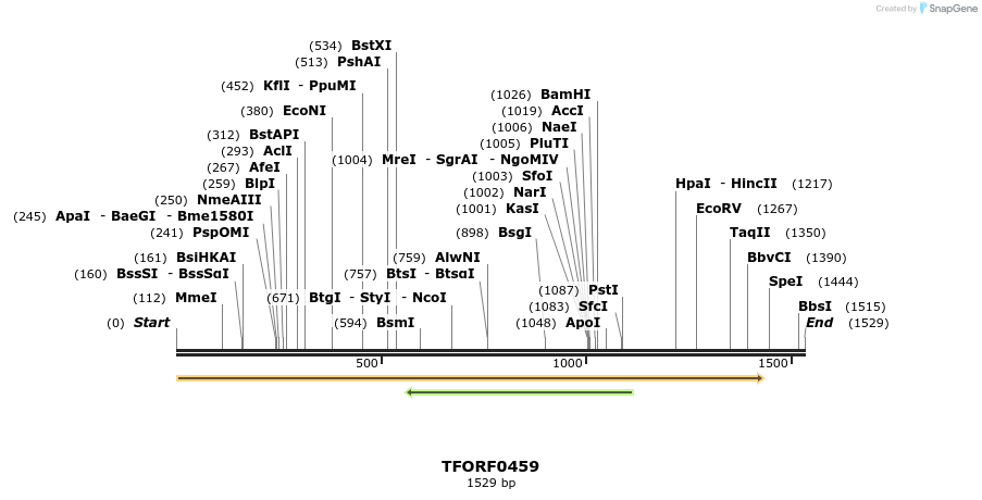 278936_map