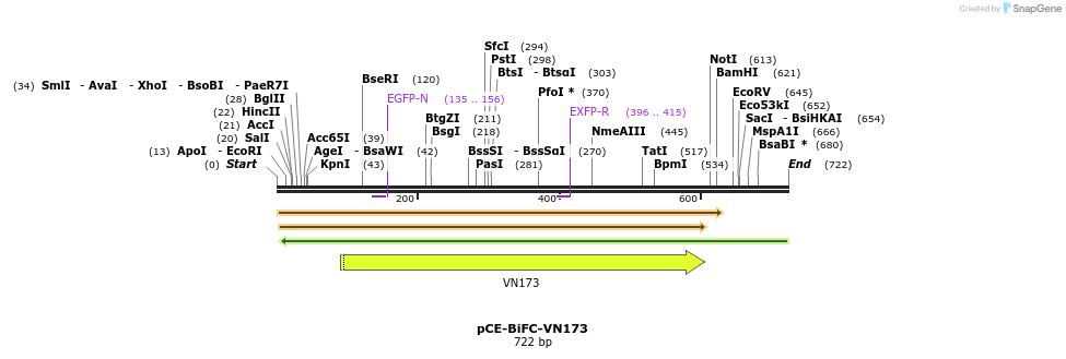 27894_map