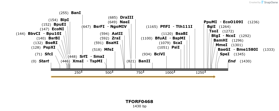278942_map
