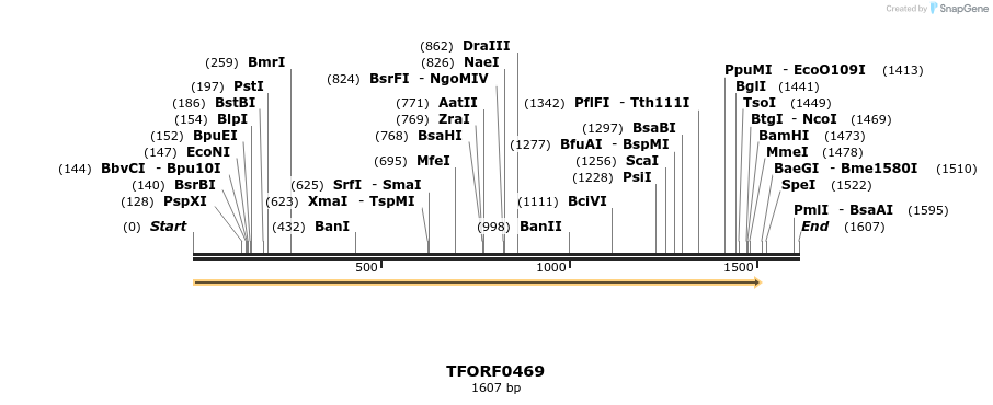 278945_map