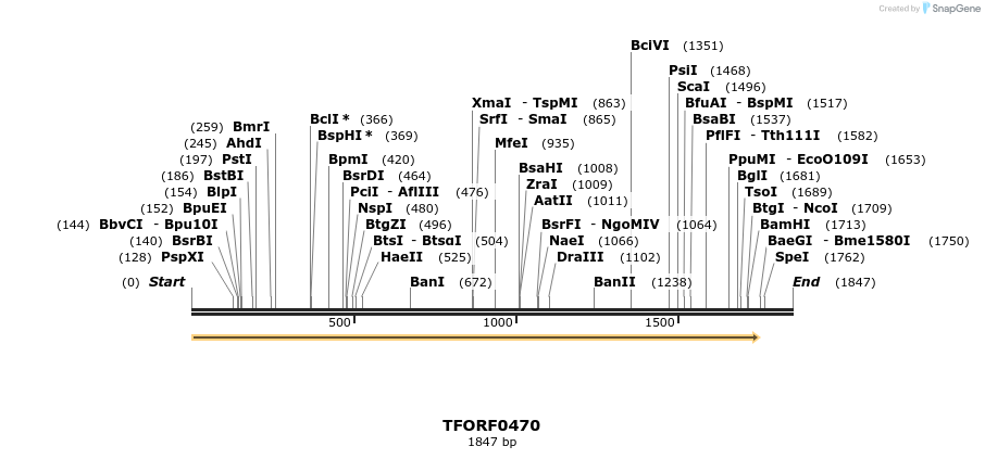 278948_map