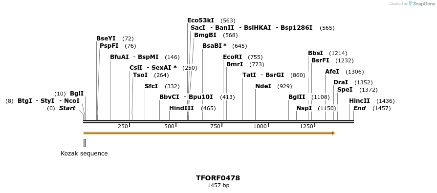 278951_map