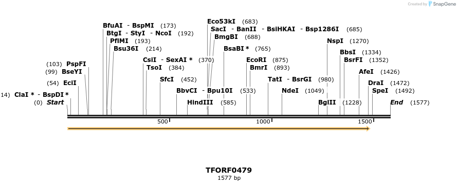 278954_map