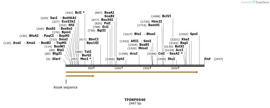 278963_map