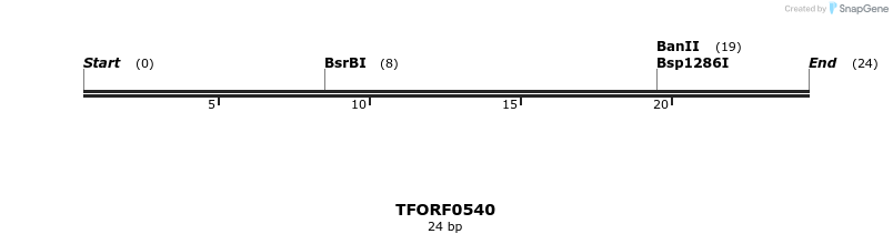 278964_map