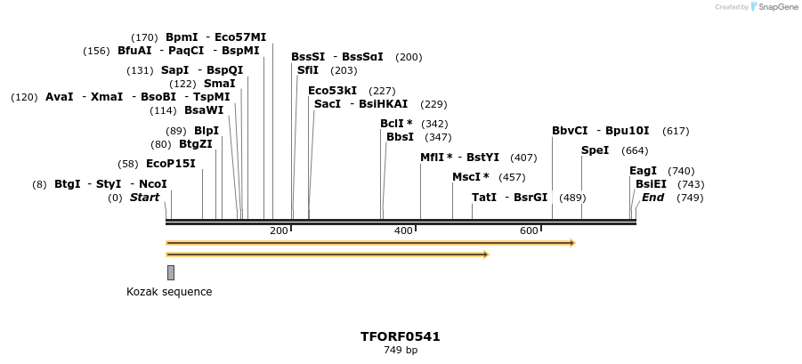 278966_map