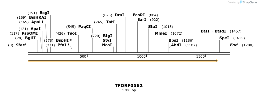 278969_map