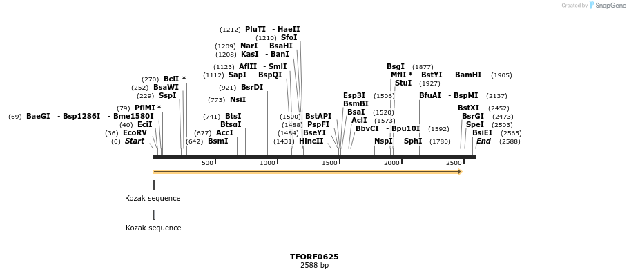278972_map